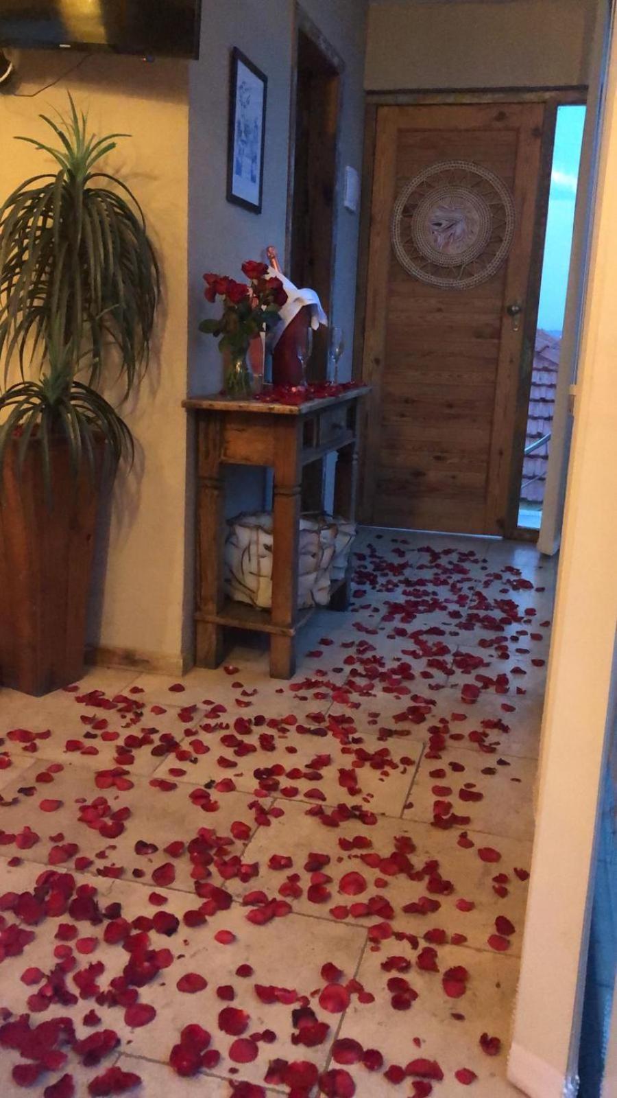 Mansion Aline Bed and breakfast Río de Janeiro