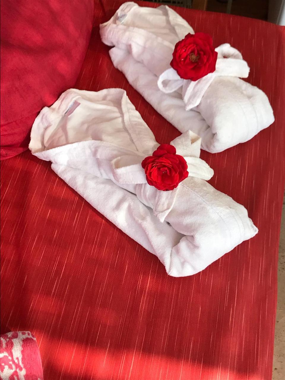 Mansion Aline Bed and breakfast